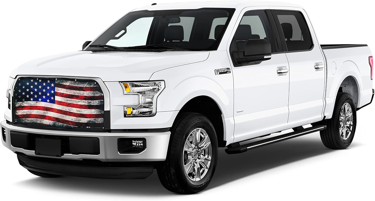 Old Glory Mesh Bug Screen for 2015-2017 Ford F150 (902-19)