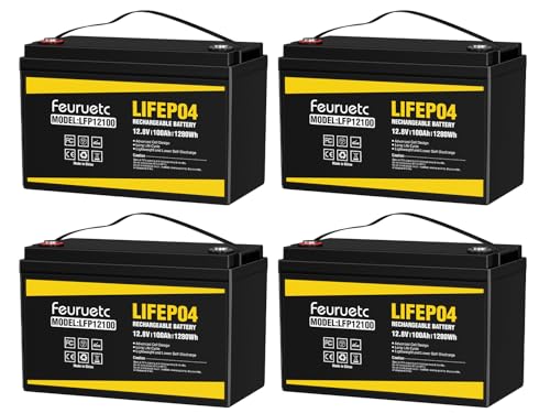 12V 100Ah LiFePO4 Lithium Battery - Solar Powered Battery with 100A BMS, 1280Wh Energy Storage