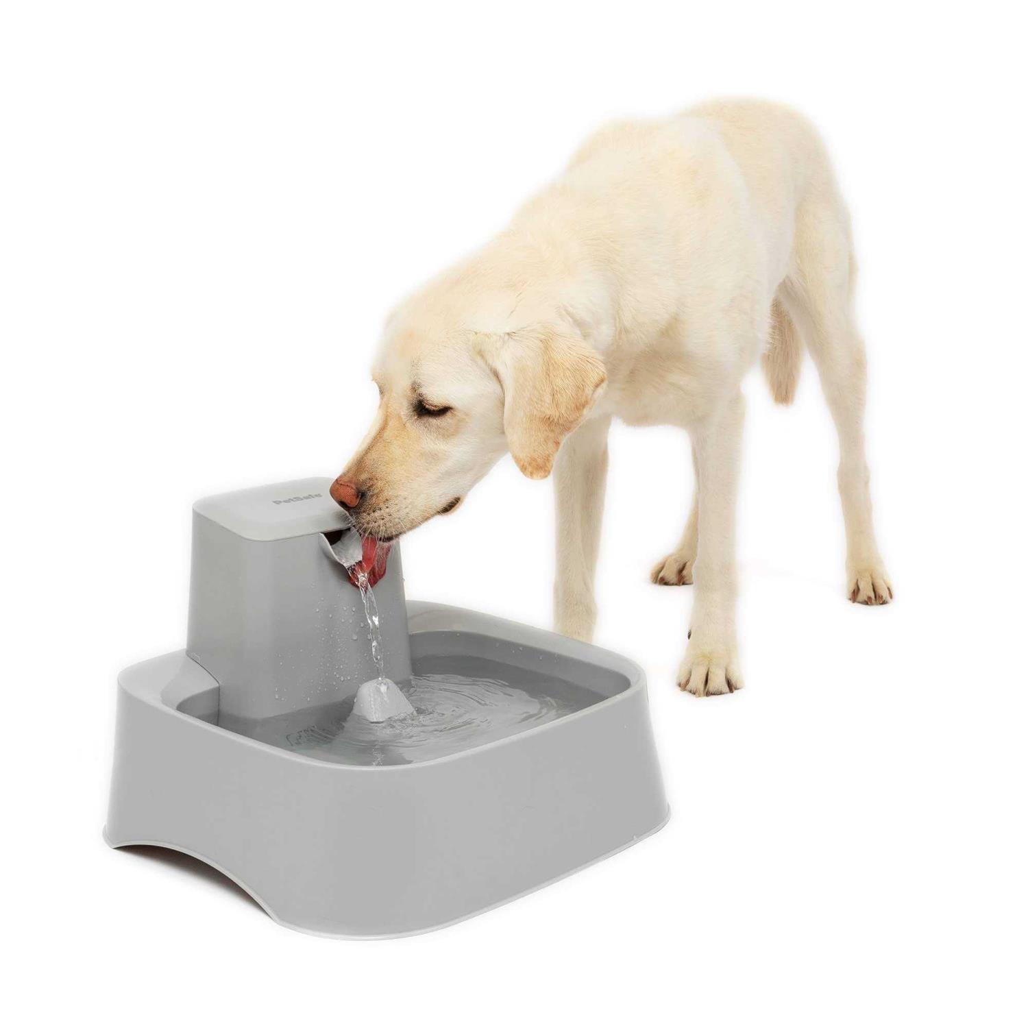PetSafe Drinkwell 2 Gallon Pet Fountain - Pet Supplies online store