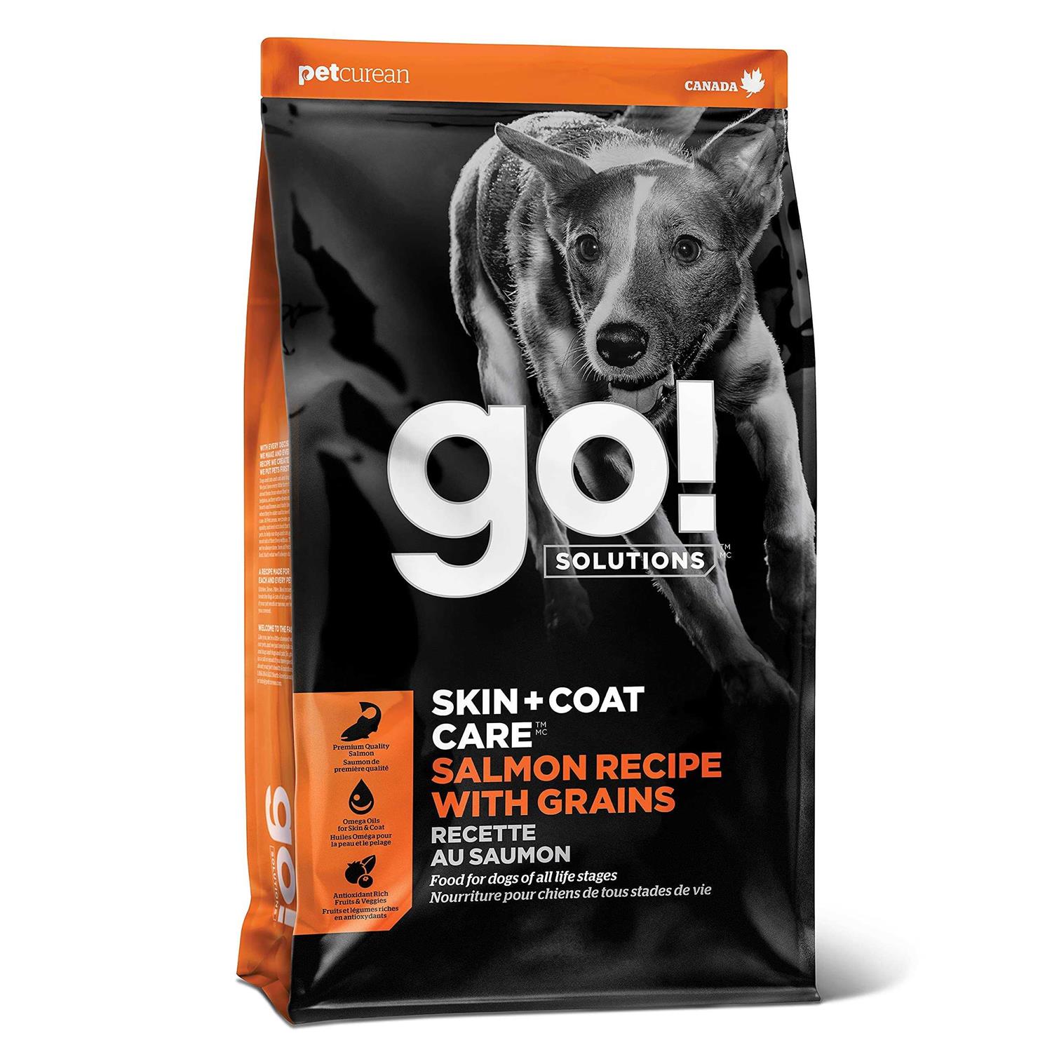 Go! Solutions Skin + Coat Care Salmon Recipe Dry Dog Food - Pet Supplies online store
