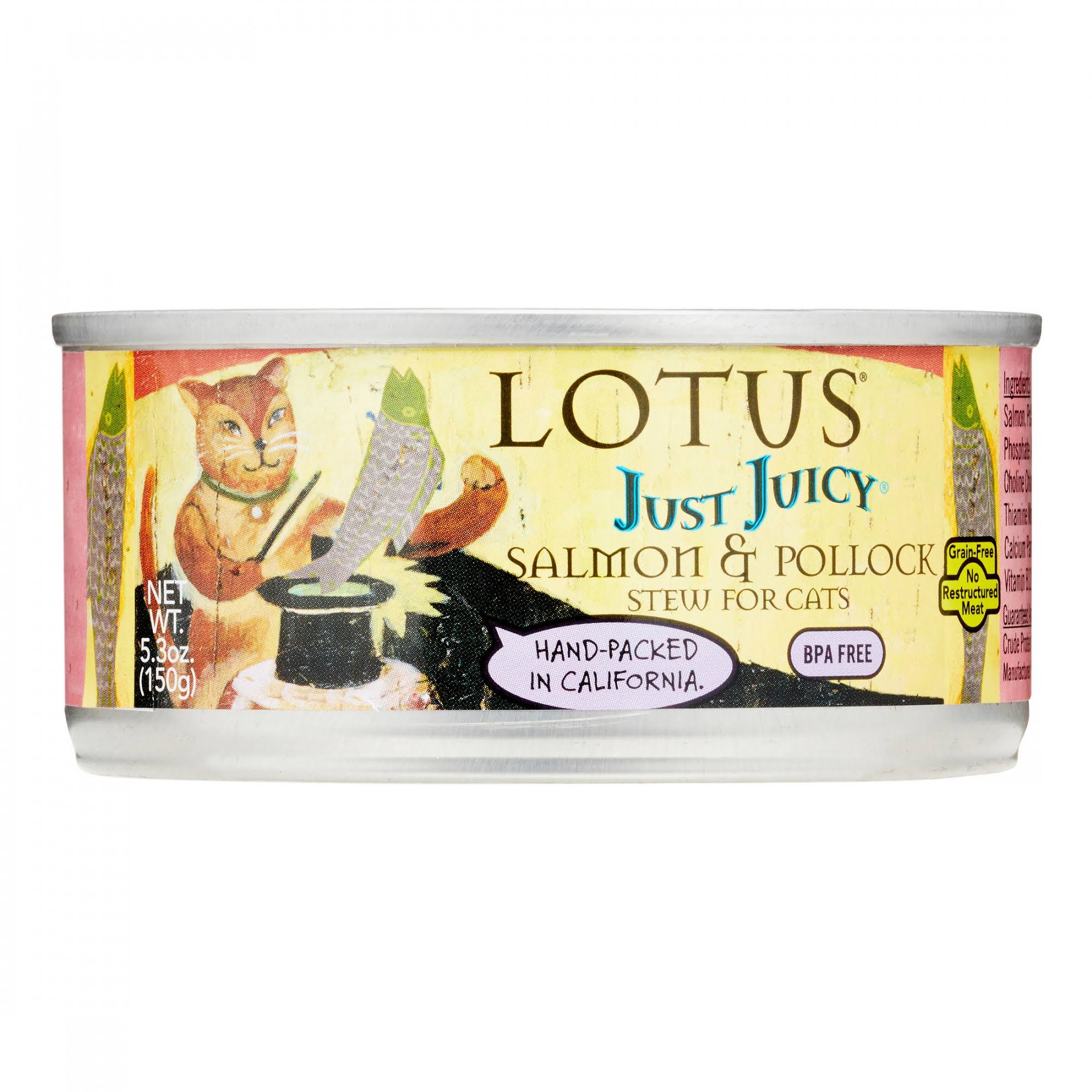 Lotus Just Juicy Salmon u0026 Pollock Stew Wet Cat Food, 5.3 oz, 24 ct