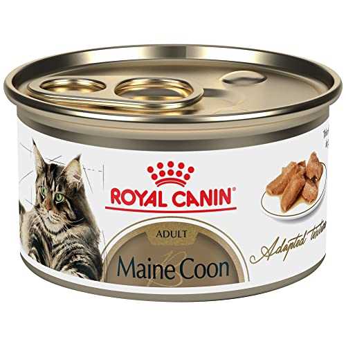 Royal Canin Feline Breed Nutrition Maine Coon Adult Thin Slices in Gravy Wet Cat Food, 3-oz can, case of 24 - Pet Supplies online store