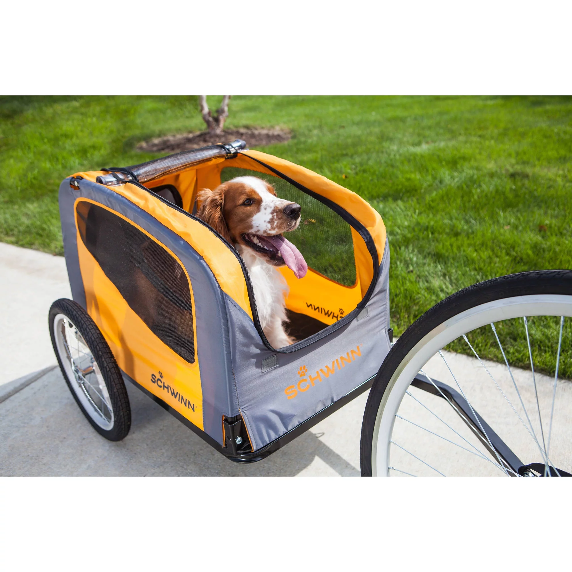 Schwinn Rascal Bike Pet Trailer, Orange - Radiant Selections