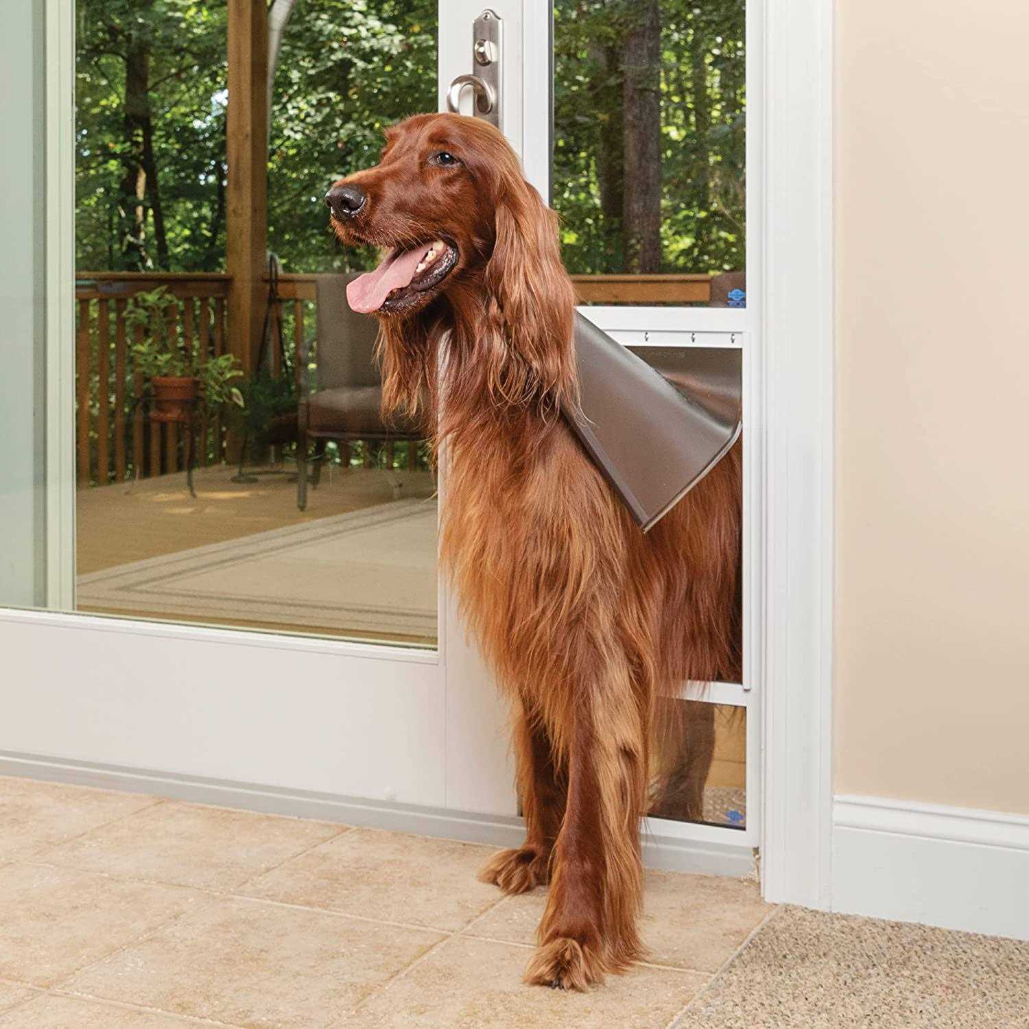 PetSafe Freedom Patio Panel Pet Door - Pet Supplies online store