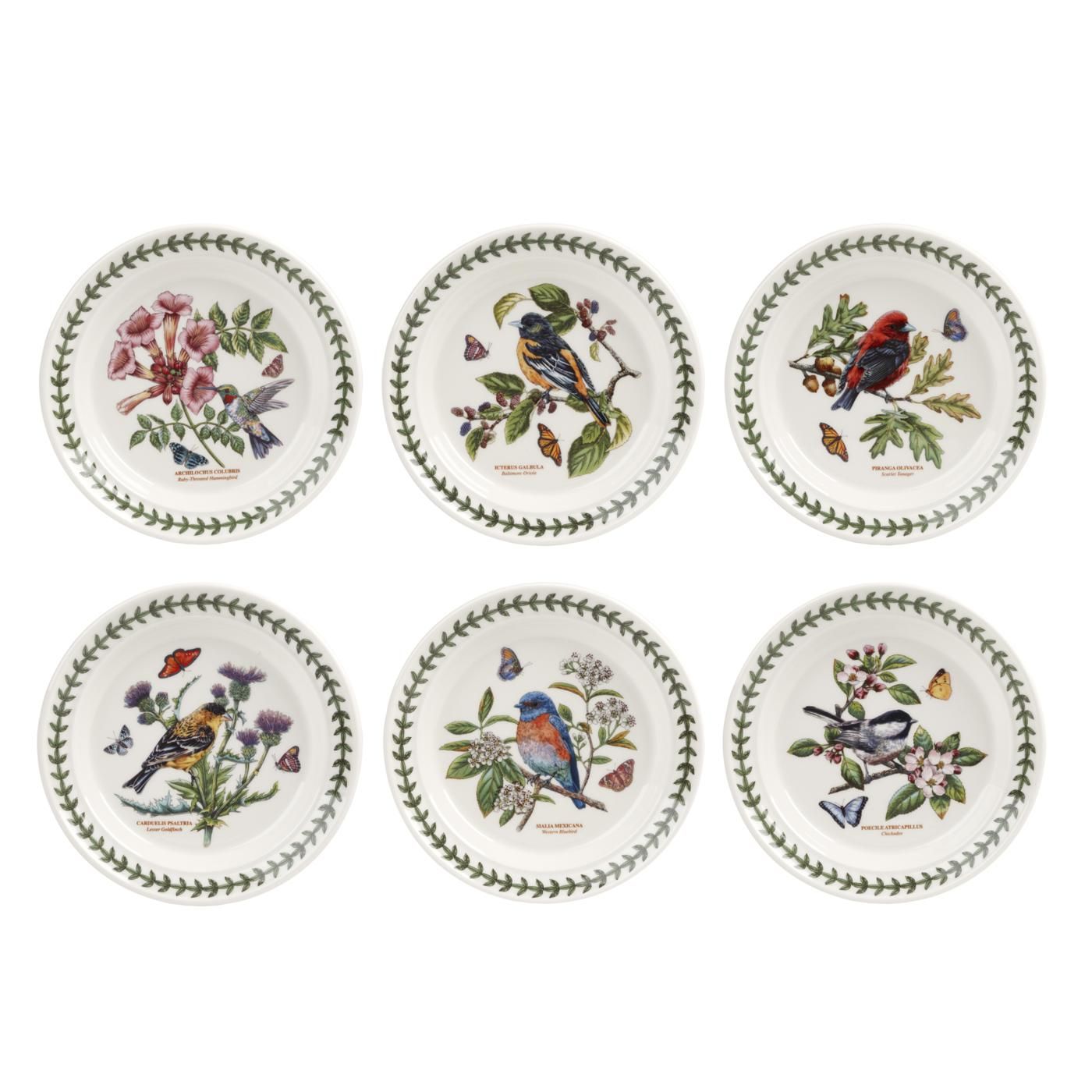 Portmeirion Botanic Garden Birds 8.5 inch Salad Plate, Set of 6 - Assorted Motifs