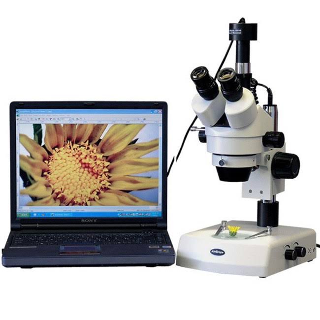 Amscope 3.5X-90X Stereo Zoom Microscope with Dual Halogen Lights with 10MP Camera