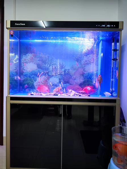 LED large fish tank clearance