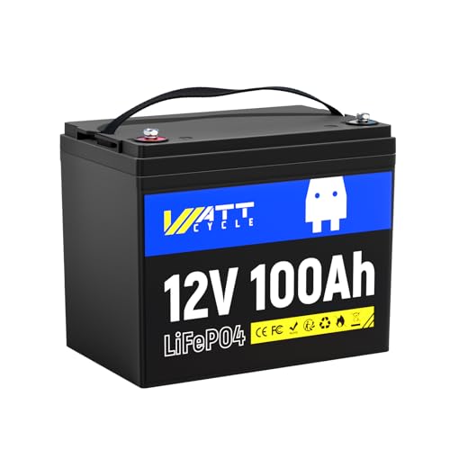 12V 314Ah Mini LiFePO4 Lithium Battery with Bluetooth 5.0, 200A BMS, 4.01kWh Energy, Upgraded Aluminum Cooling Fins & Braided Copper Wires, for RV
