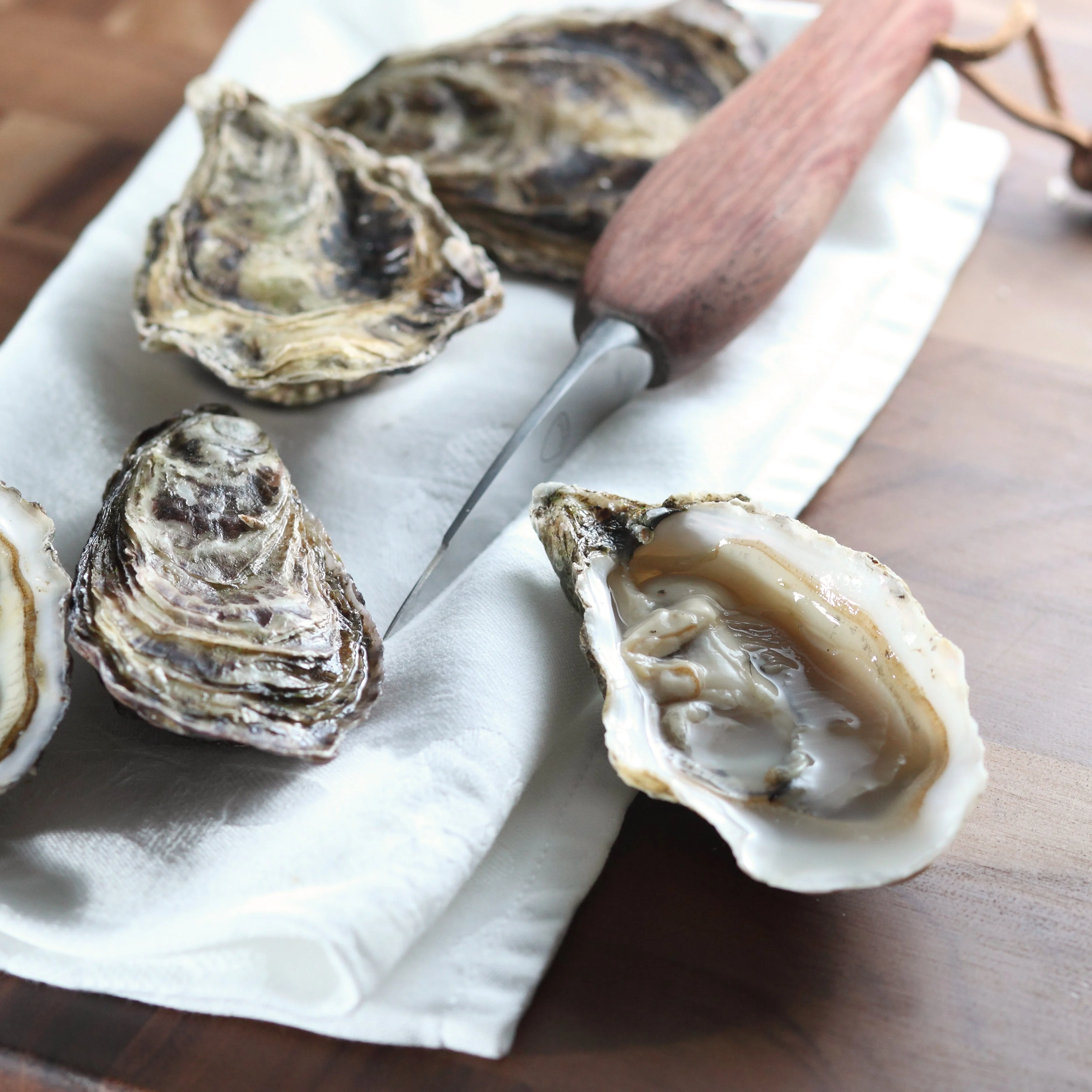 Cliff Point Petite Oysters 50 Pcs