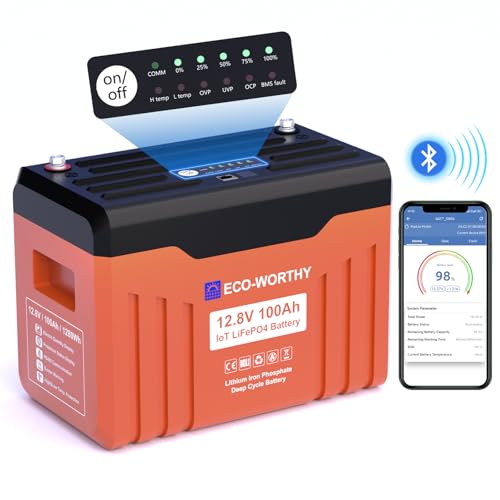 ECO-WORTHY 12V 100AH LiFePO4 Lithium Battery with Bluetooth, Max.1280Wh Energy, Low Temperature Protection, Group 24, Built-in 100A BMS