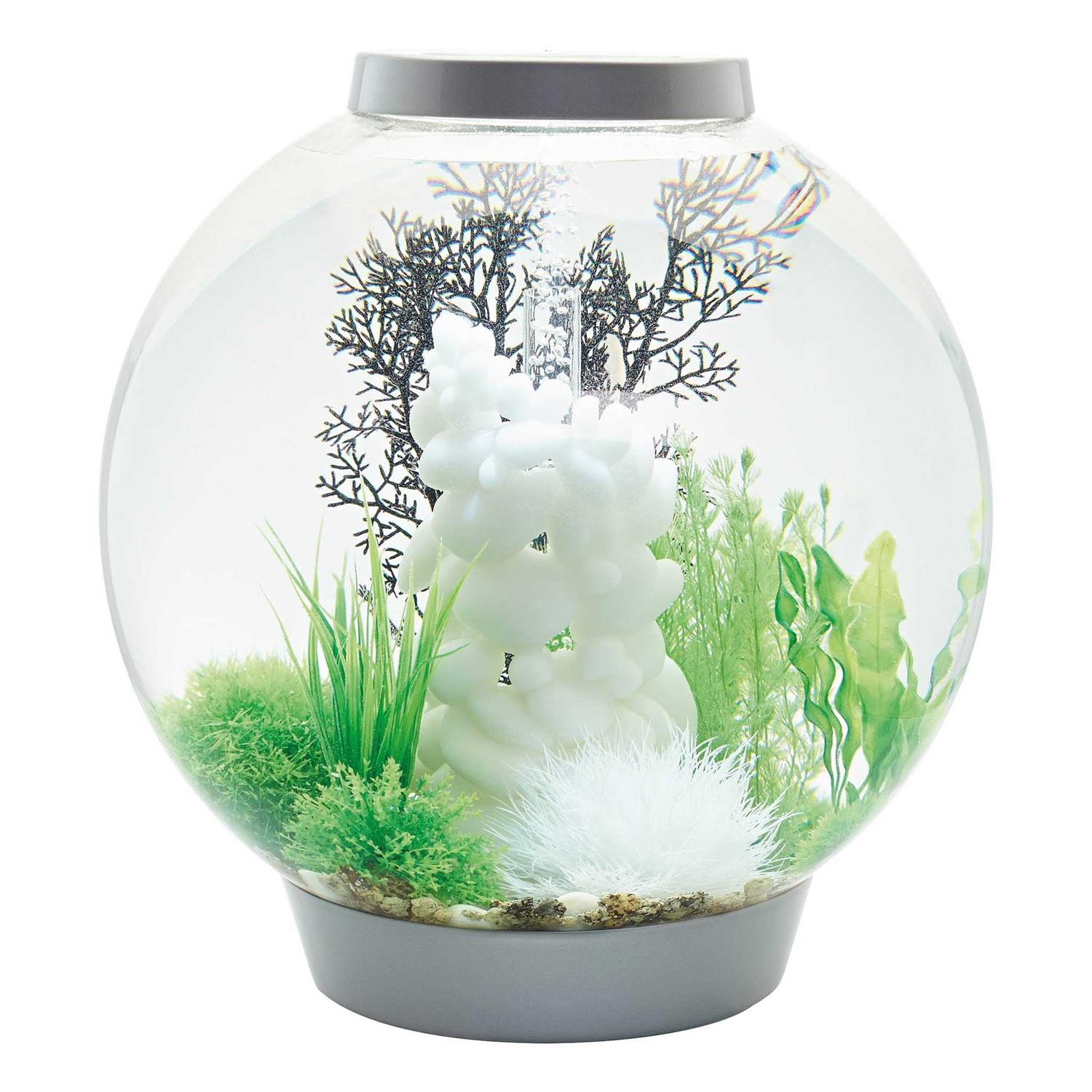 biOrb Classic 60 Aquarium with LED - Pet Supplies online store