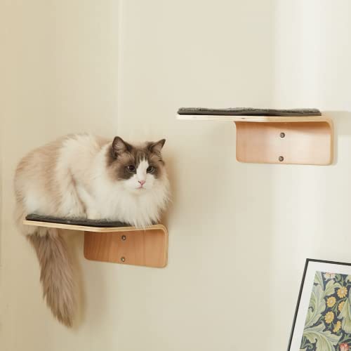 Cat Wall Shelf with Two Steps - Wave Cat Shelves and Perches for Wall - Wall Mounted Cats Furniture for Sleeping, Playing, Climbing, and Lounging
