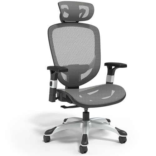 STAPLES Hyken Ergonomic Swivel Task Chair, Adjustable with Breathable Mesh & Lumbar Support, Perfect for Home & Office, Charcoal Gray
