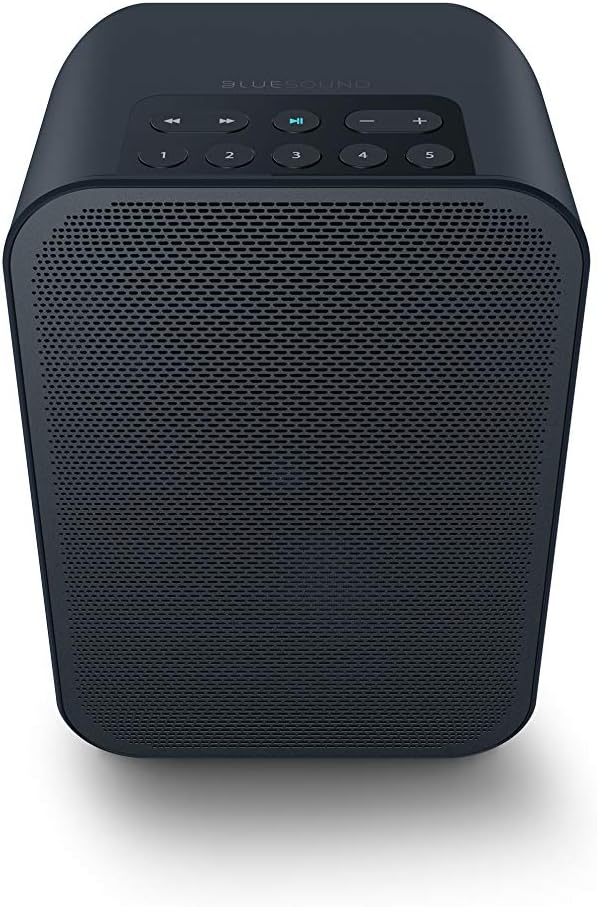 Bluesound Pulse Flex 2i Portable Wireless Multi-Room Smart Speaker with Bluetooth - Black - Compatible with Alexa and Siri