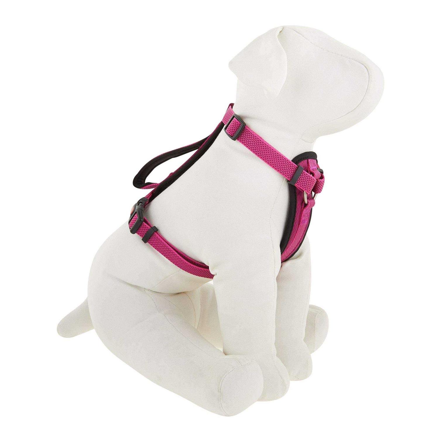 Kong Comfort Padded Chest Plate Dog Harness - Pet Supplies online store