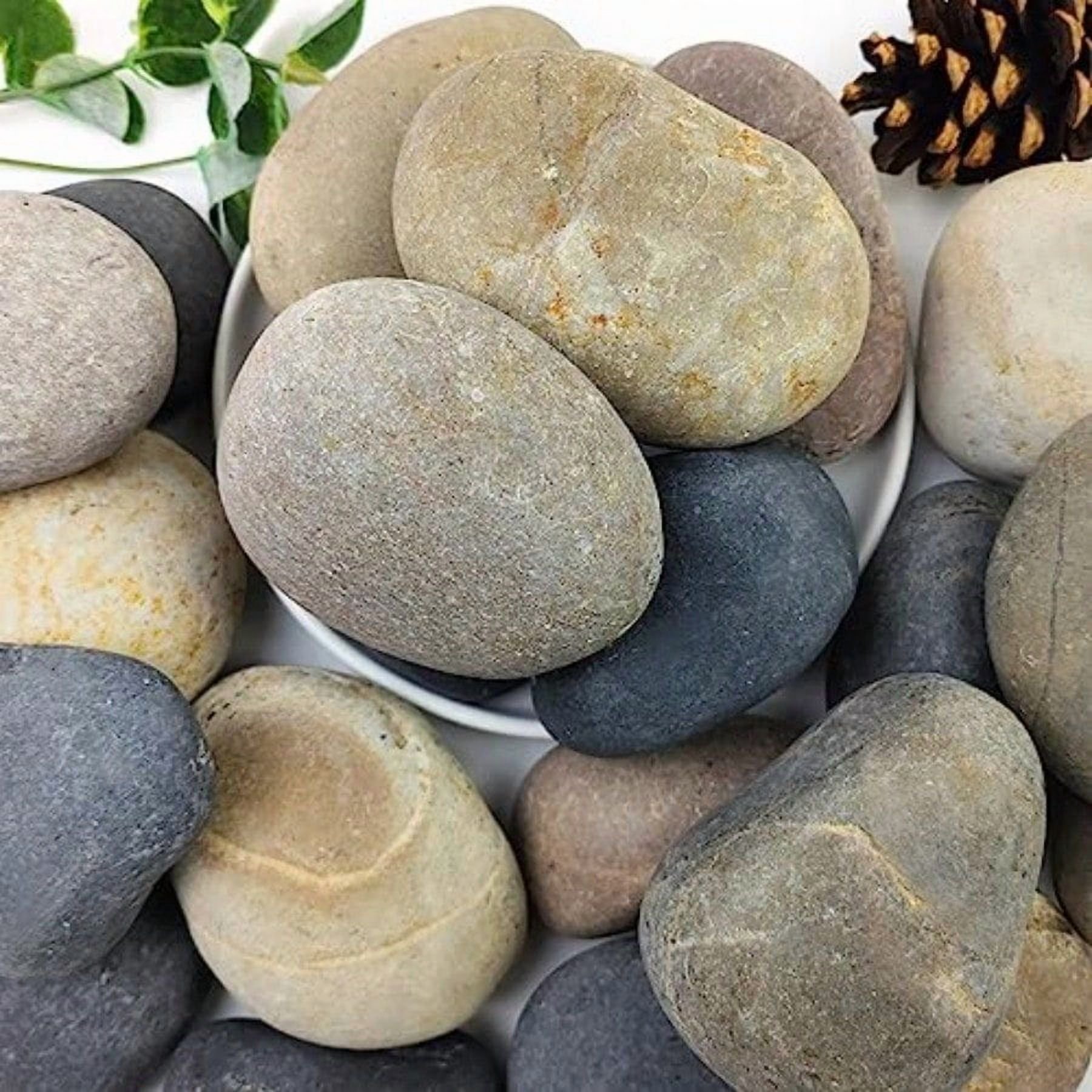 40lbs Natural River Rocks 3-4 Premium Pebbles for Garden and Landscape Design Hand-Picked Smooth Stones for Fish Tank Flower Pots Indoor Water