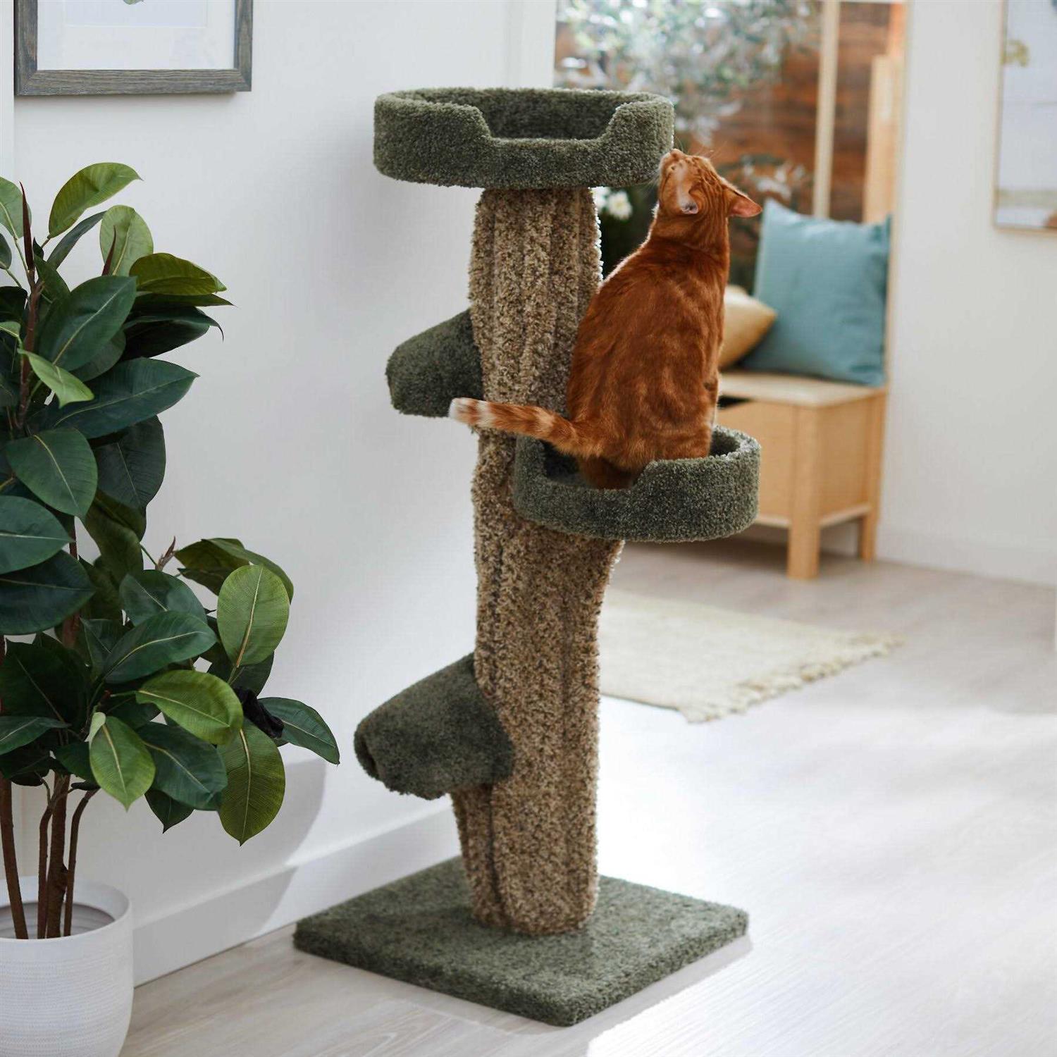 Frisco 49-in Tree-Shaped Real Carpet Wooden Cat Tree - Pet Supplies online store