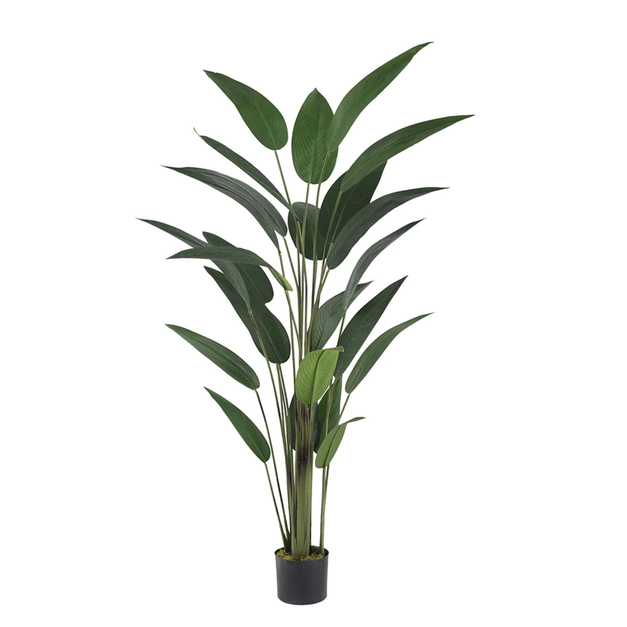 CC Home Furnishings Bird of Paradise Artificial Potted Tree - 6'