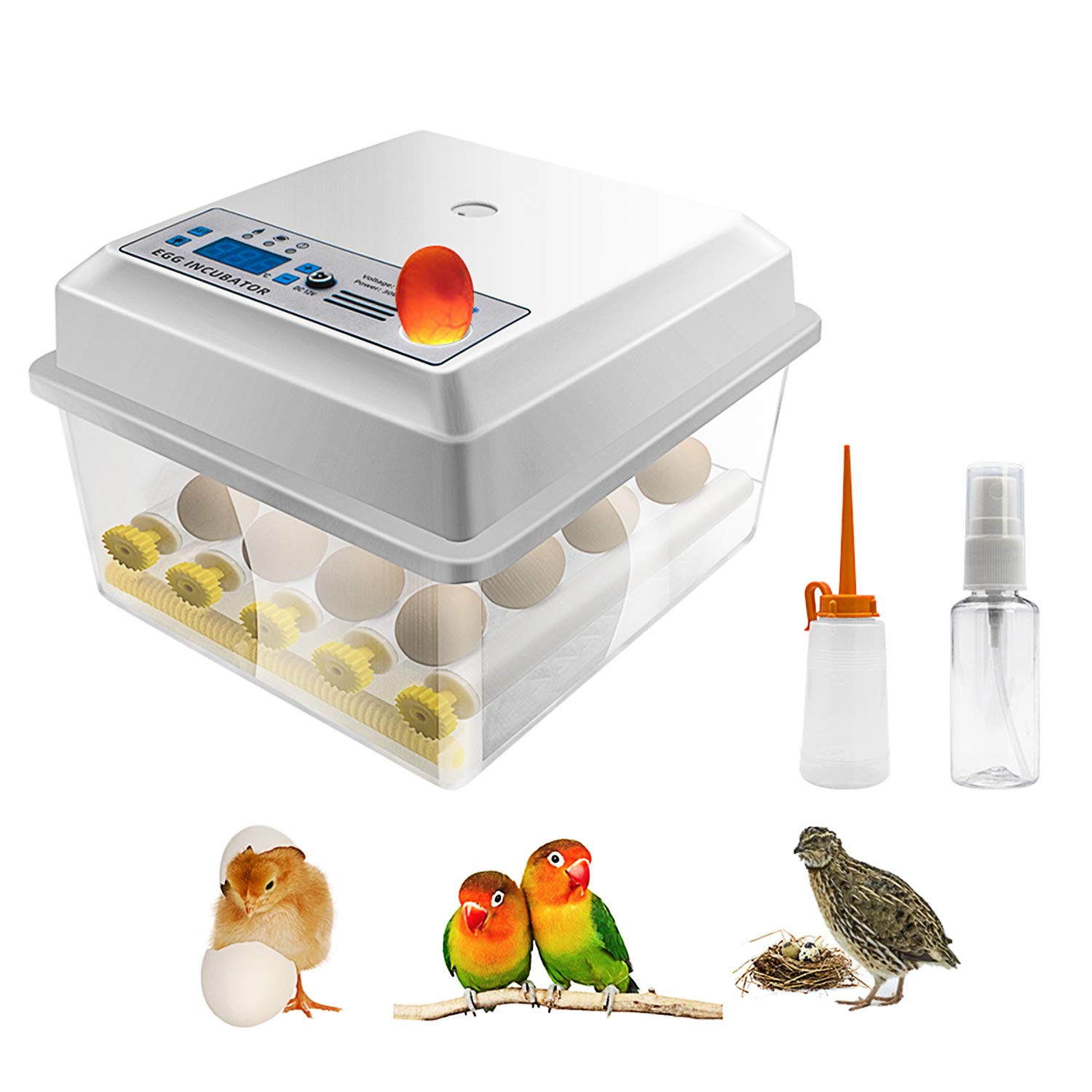 Safego Egg Incubator for Hatching Eggs