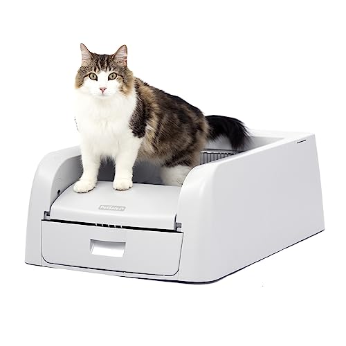 PetSafe ScoopFree Clumping Self-Cleaning Litter Box for Clumping Litter – Superior Odor Control – Never Scoop Litter Again – for Single and Multi-Cat