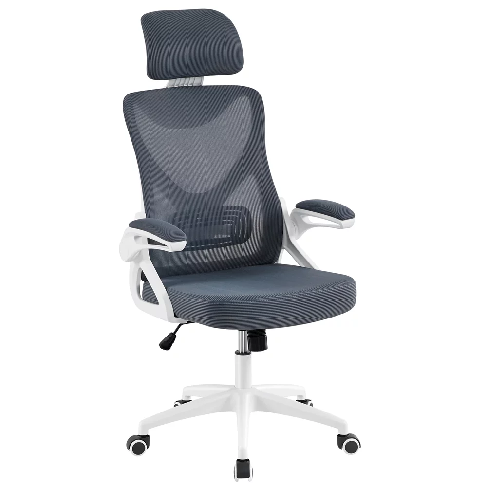 Alden Design Ergonomic Mesh Office Chair with High Back, Black