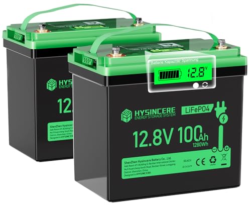 12V 100Ah LiFePO4 Lithium Battery, Mini Deep Cycle Rechargeable LiFePO4 Battery, Max.15000 Cycles Built in 100A BMS for RV, Trolling Motor, Camping