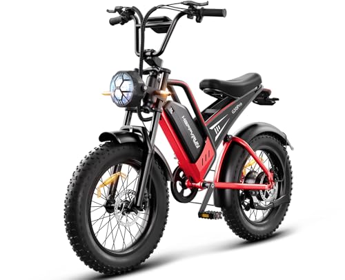2000W Electric Bike for Adults, 48V 25Ah Removable Battery, Up to 35MPH and 75+ Miles Range, 7-Speed Transmission, 20" Fat Tires Ebike