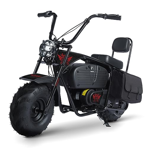 Oryxearth Electric Mini Dirt Bike, 36V Battery 1000W Motor Electrical Powered Motorcycle for Kids, 2 Speeds-15.5MPH/22 MPH, 2 Hanging Bags