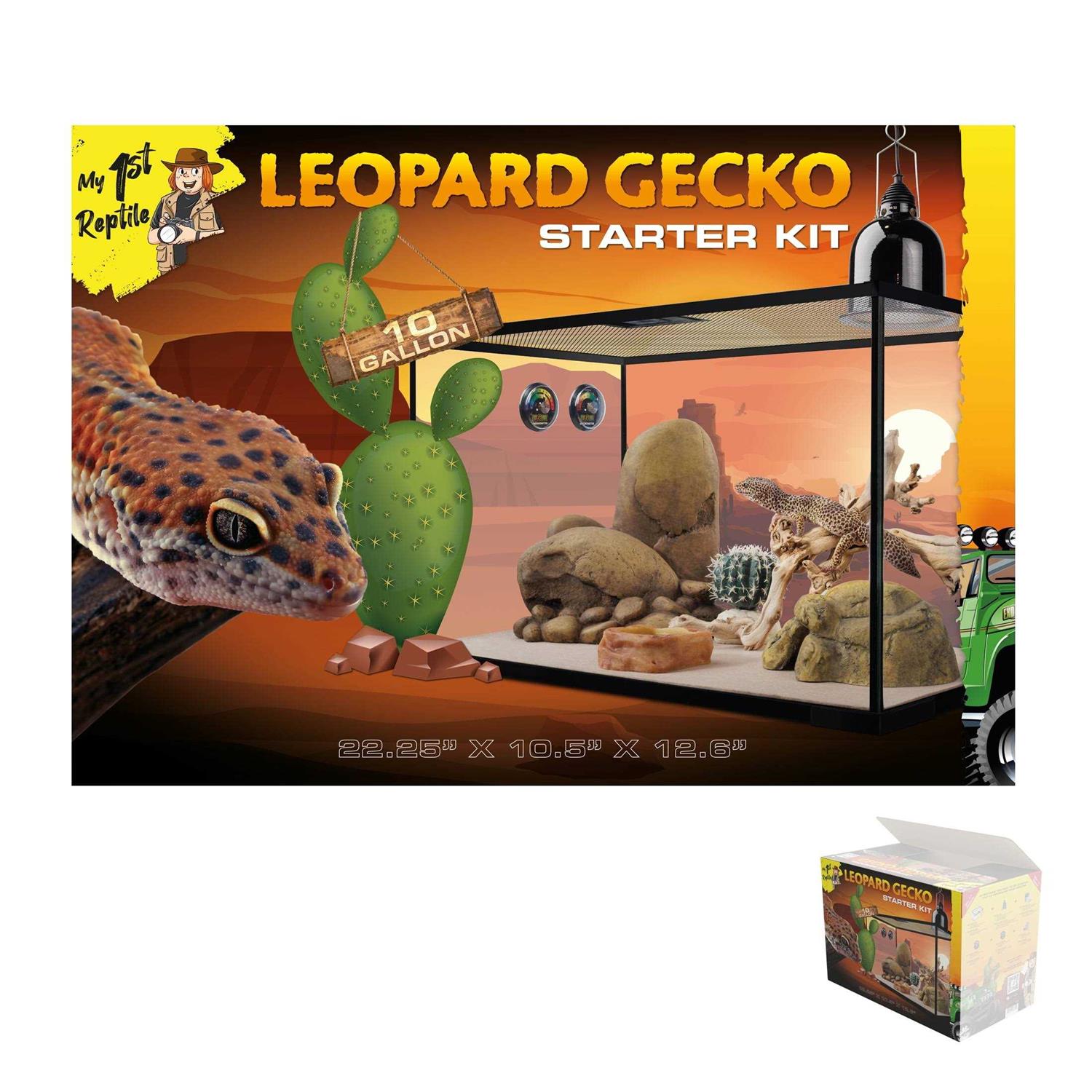 My 1st Reptile by Exo Terra Leopard Gecko Reptile Starter Kit - Pet Supplies online store