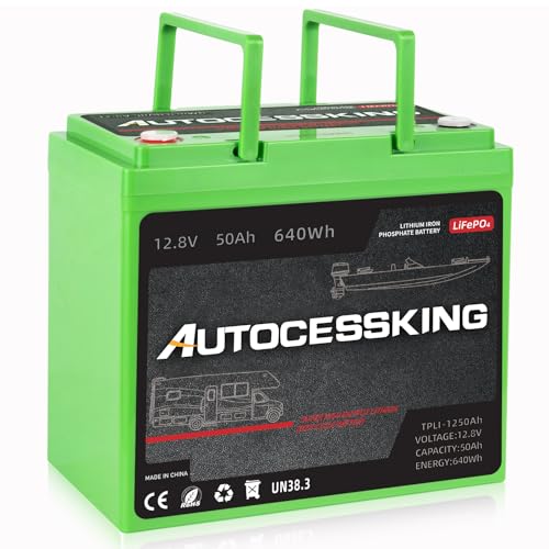 12V 100Ah LiFePO4 Lithium Battery, Deep Cycles Battery Rechargeable with Upgraded 100A BMS, Low Temp Protection 10-Year Lifespan for RV, Comping
