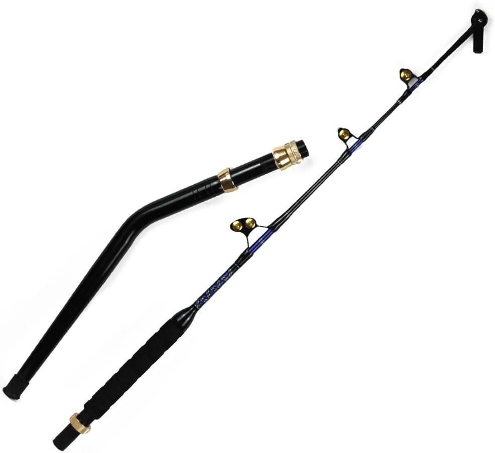 2-Pieces Deep Sea Fishing Rods, Topline Tackle Fishing Pole with 5+1 Roller Guides, Trolling Fishing Rod for Salt Water