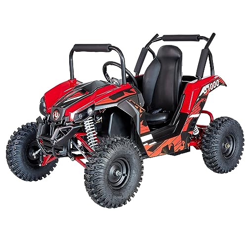 UTV Ride on Car (Large), 48V Shock Absorber Electric Vehicles with Disk Brake, Gear Switch, Steel Frame, Off-Road Tire, Flexible Seat Belt and Seat