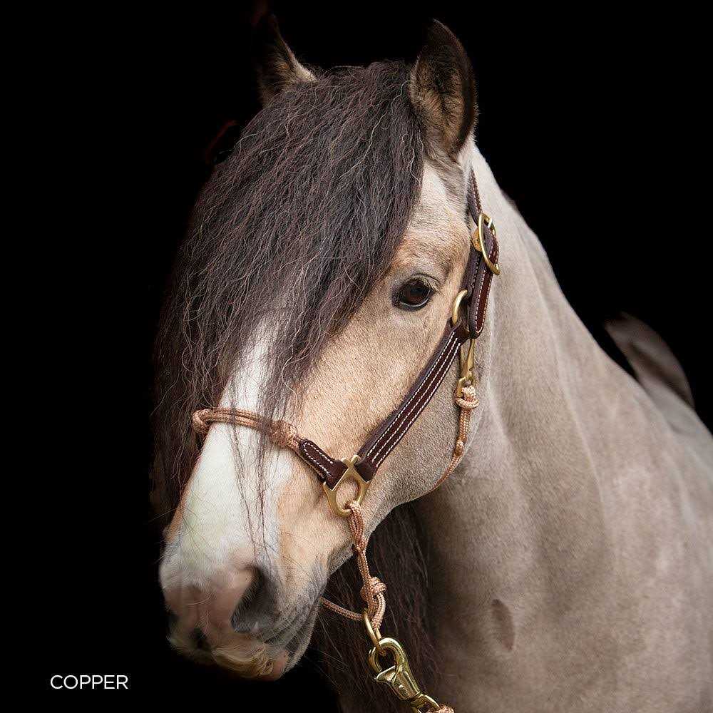 Classic Leather Hybrid Halter Yes - Sports Supplies Online Store