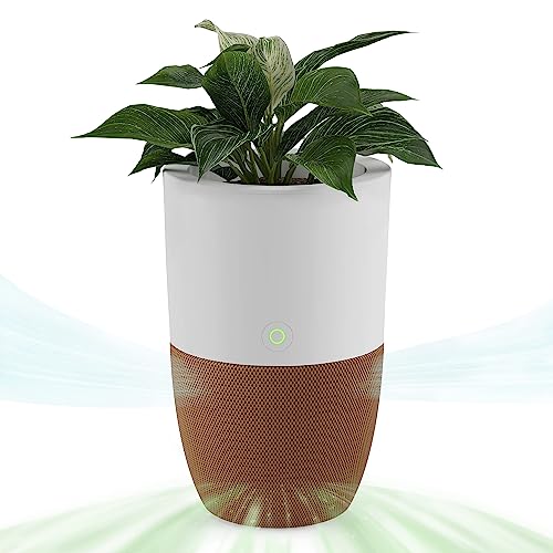 Dupray Bloom™ Air Purifier for Large Rooms with Planter or Custom Accent Table Design | For Home, Bedroom, Office, Dust