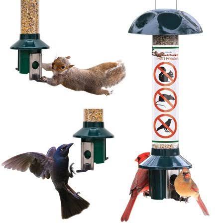 Roamwild Squirrel Proof Wild Bird Feeder - Green - 3lbs Capacity 205x75x75 (w/hanger), Red