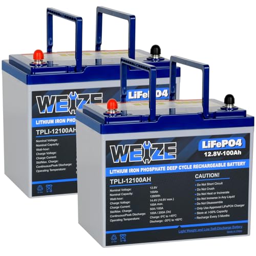 Weize 12V 100Ah TM Bluetooth LiFePO4 Lithium Battery, Built-in 120A BMS