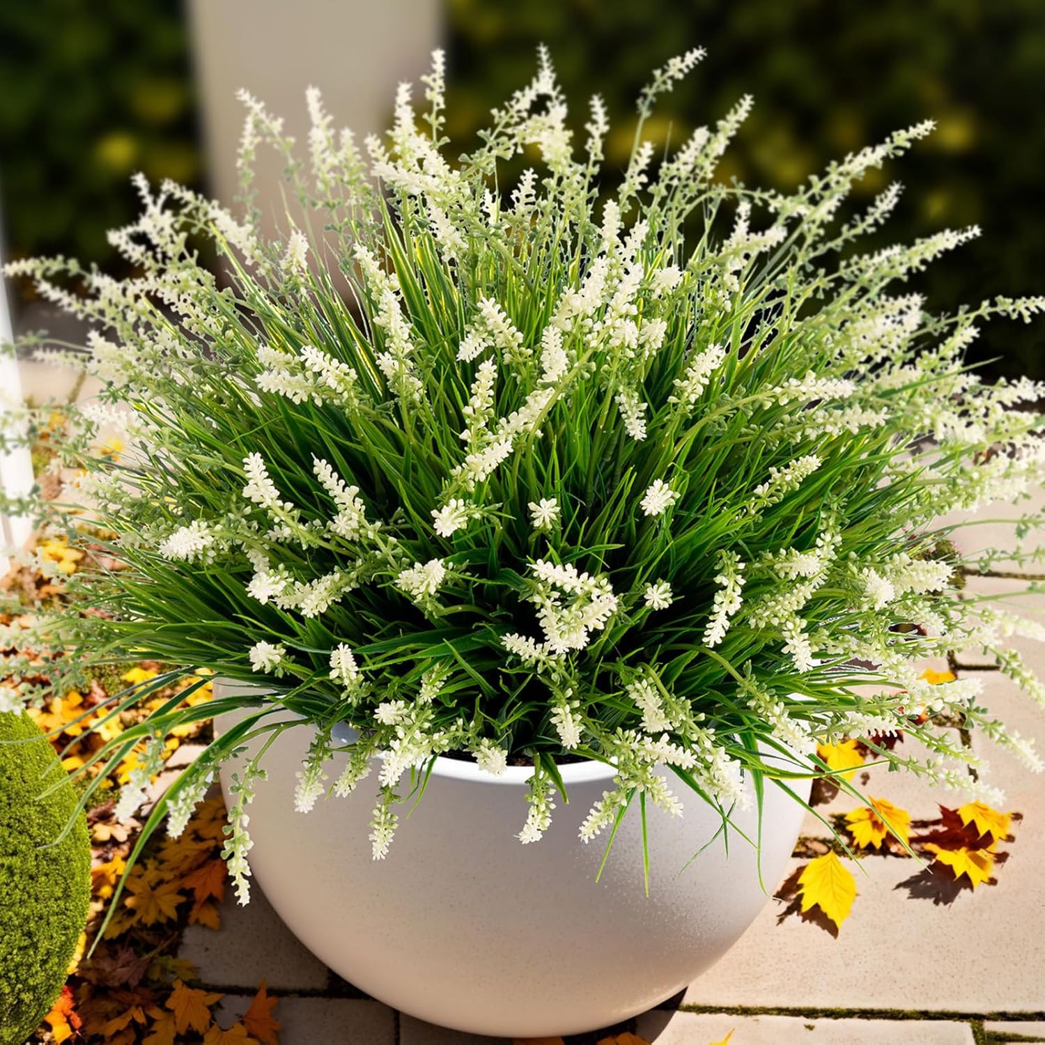 Grass