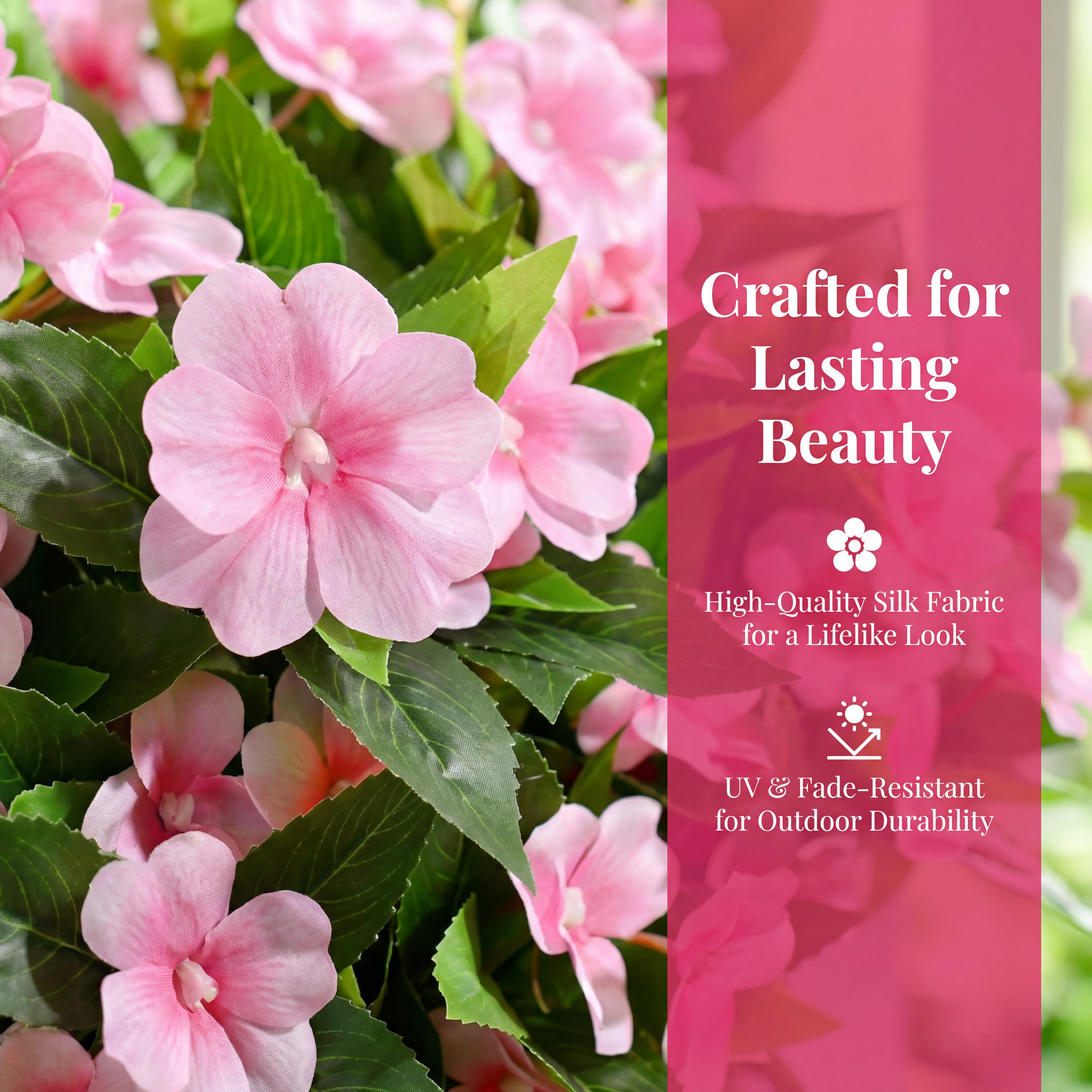 Full Bloom Impatiens Potted Flowers