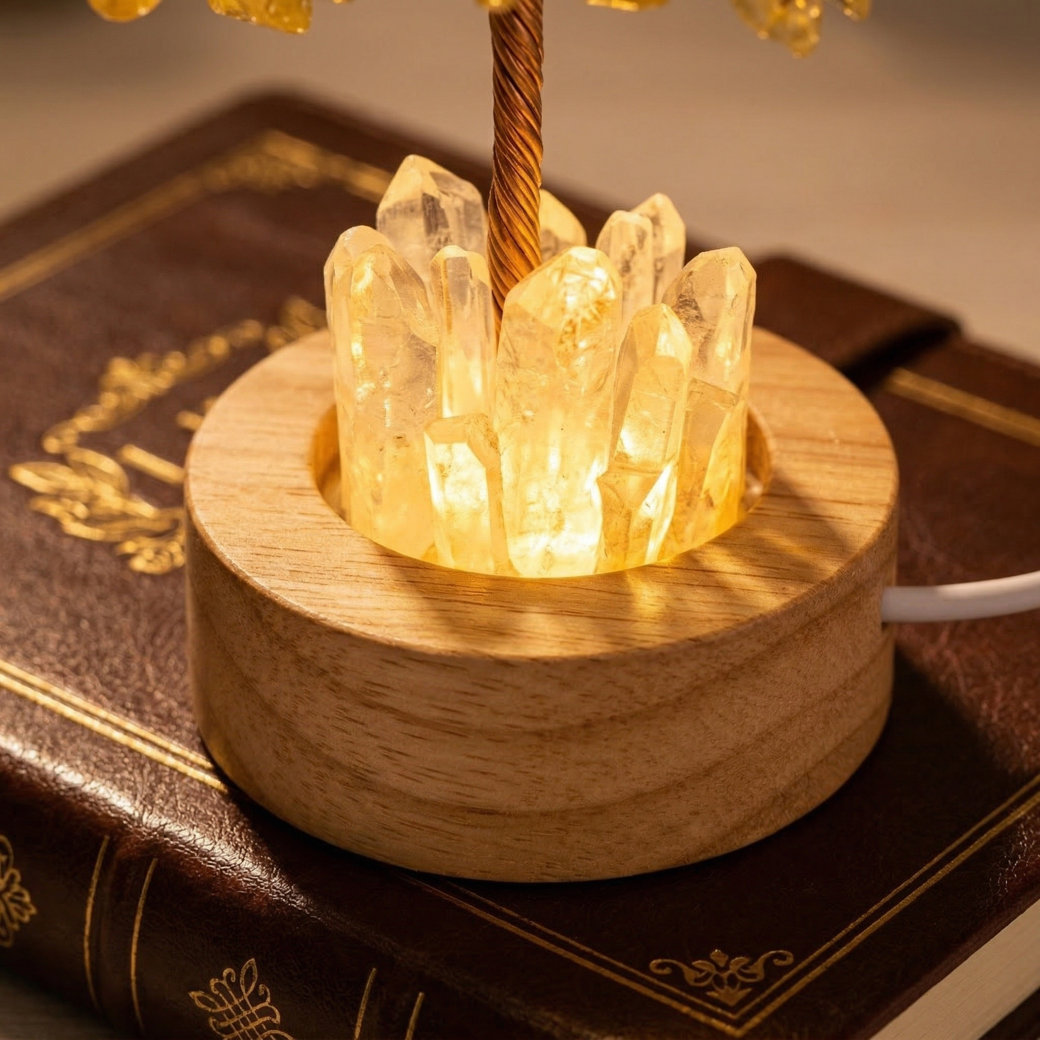 Crystal Chip Money Tree Night Light
