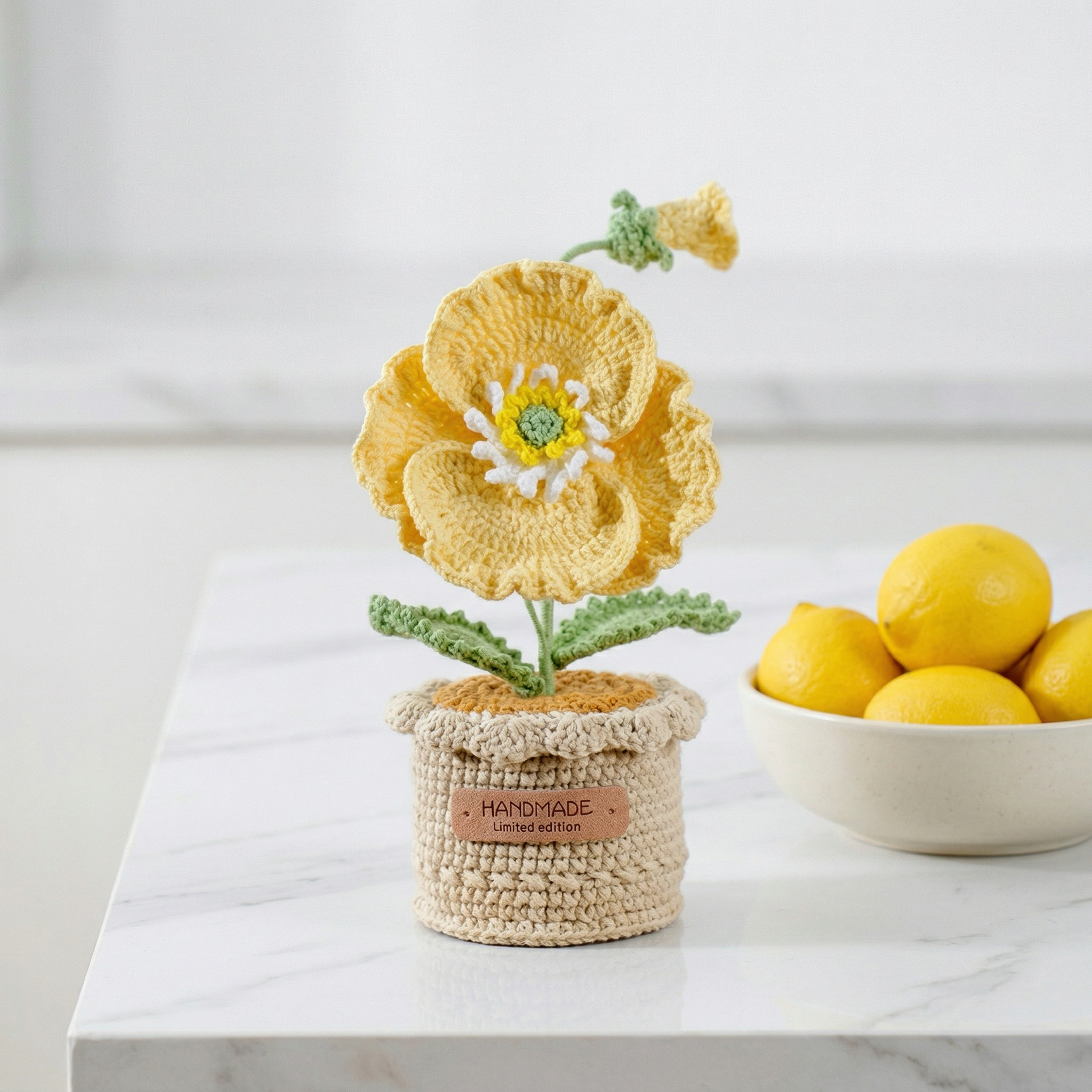 Handmade Crochet Forever Flower Pot