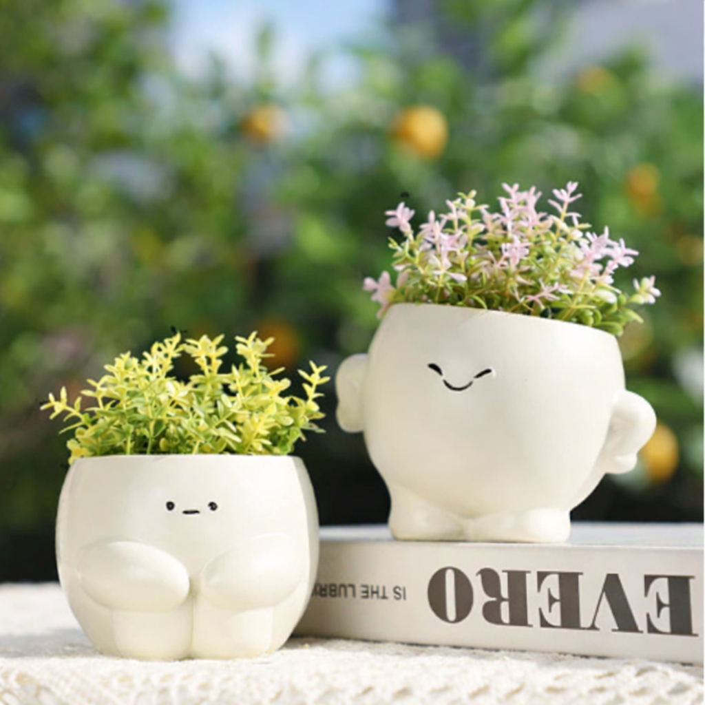 Cute Emotional Planter – Adorable Cartoon Flower Pot for Succulents & Small Plants
