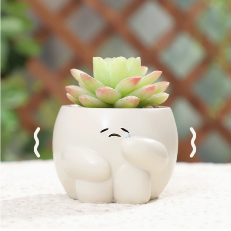 Cute Emotional Planter – Adorable Cartoon Flower Pot for Succulents & Small Plants