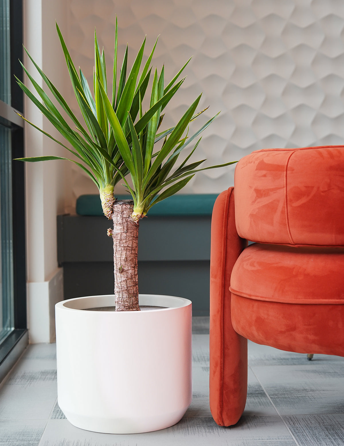 Large Lightweight Fiberglass Planter image 7