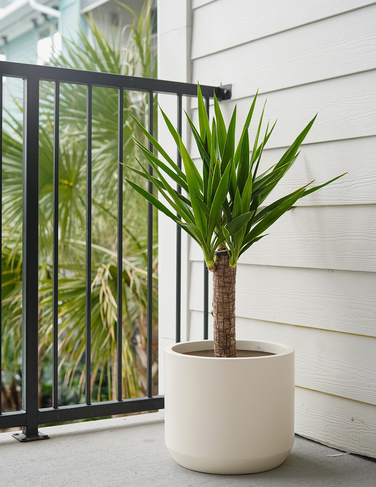 Large Lightweight Fiberglass Planter image 3