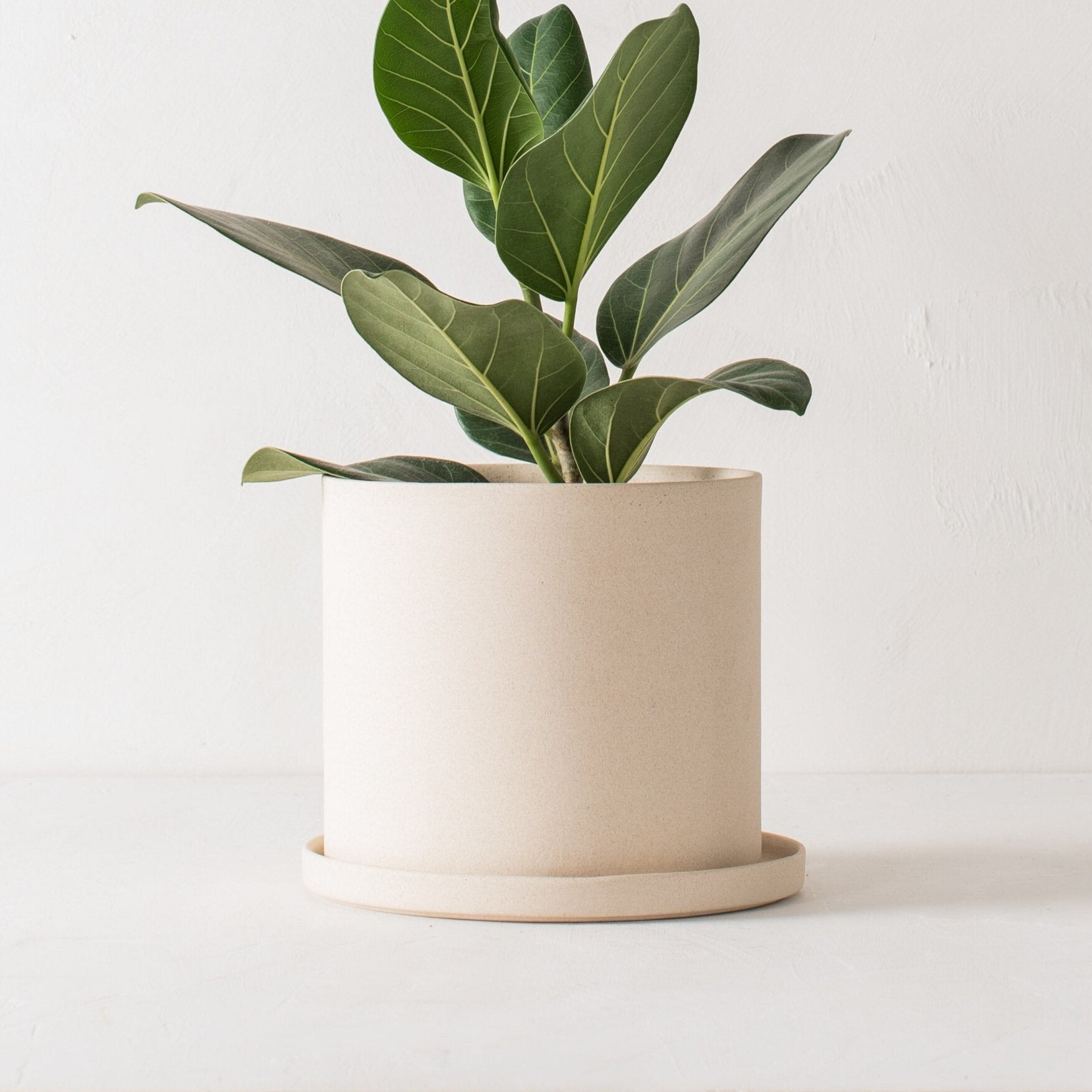 8" Minimal Planter | Raw Stoneware image 1