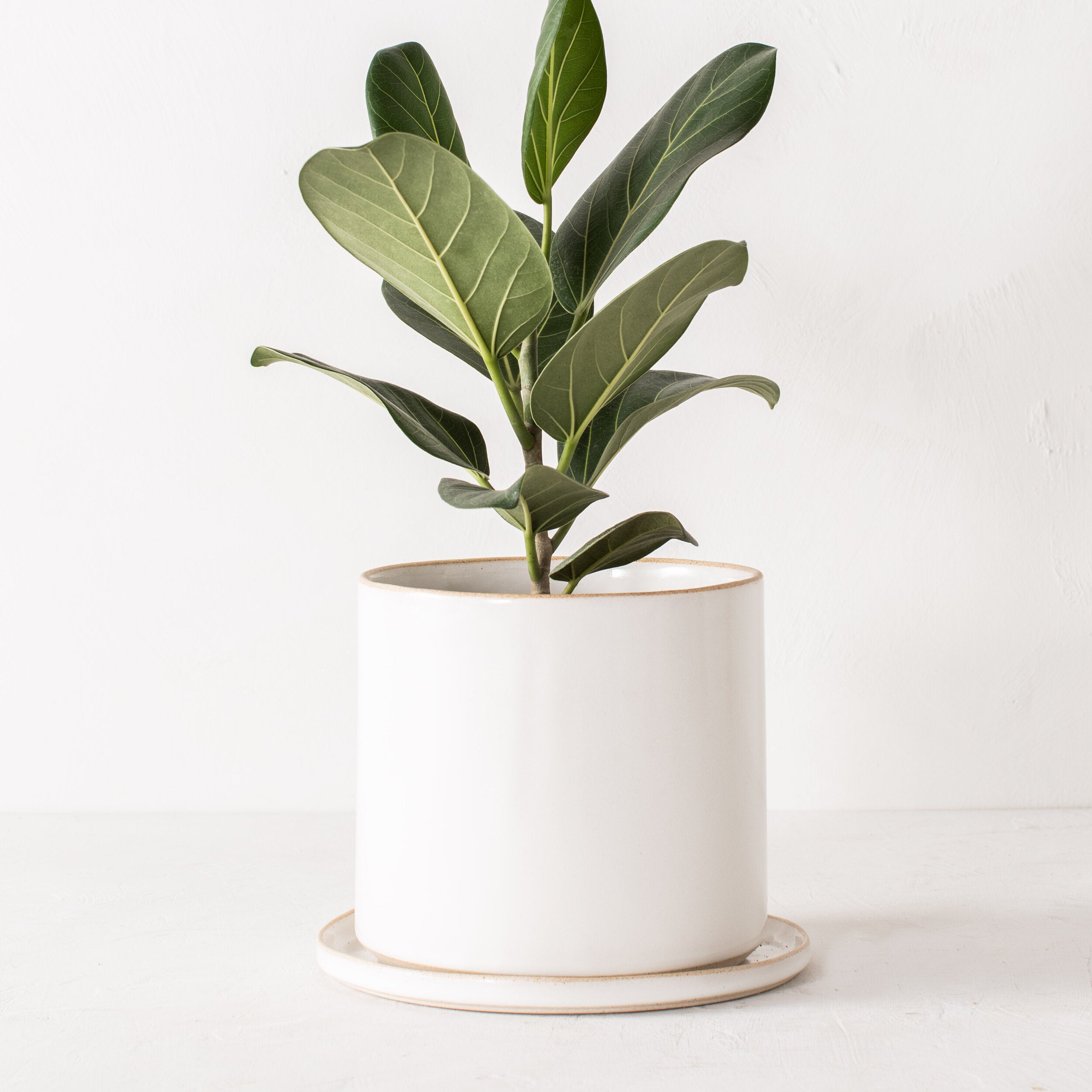 8" Minimal Planter | Stoneware image 1