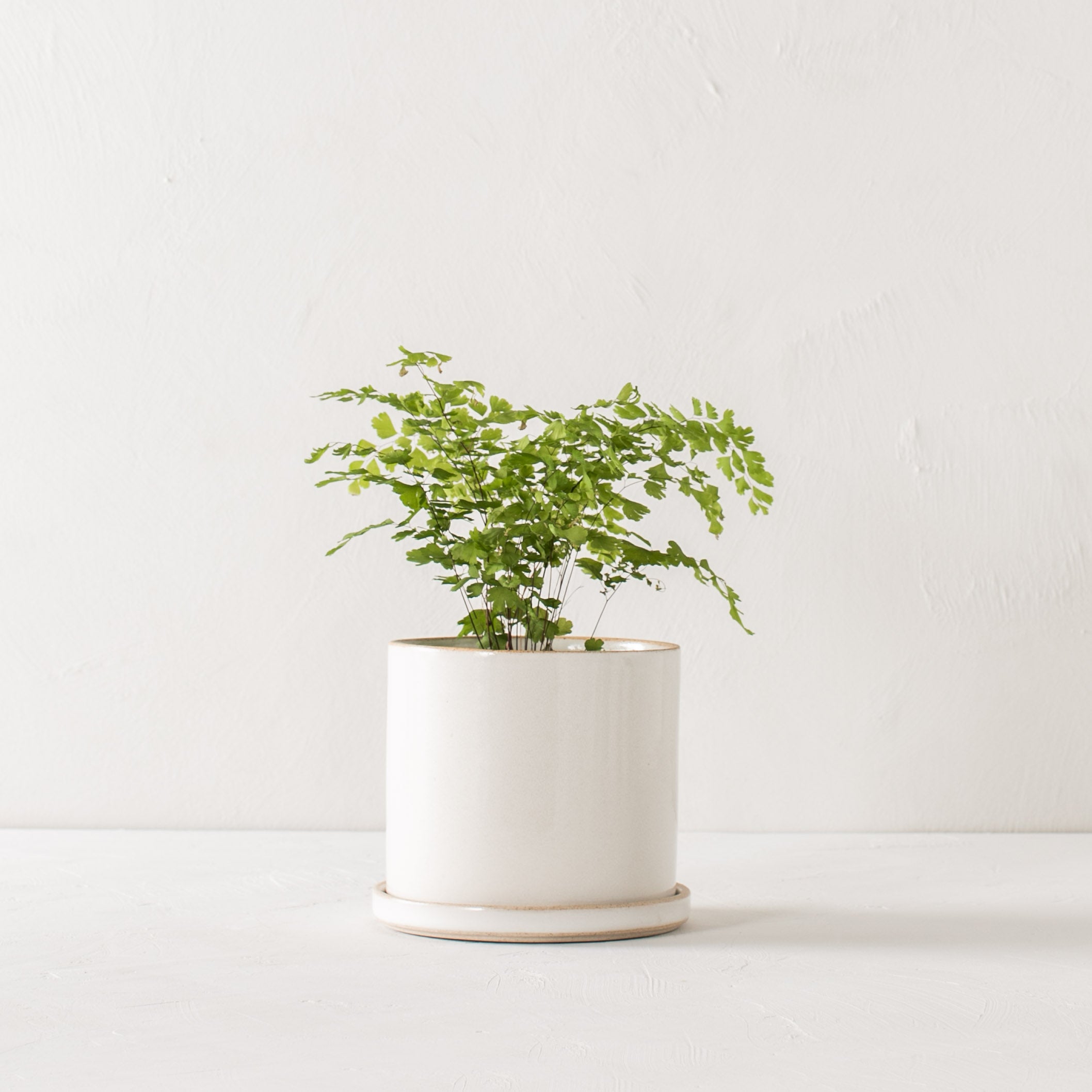 6" Minimal Planter | Stoneware image 1