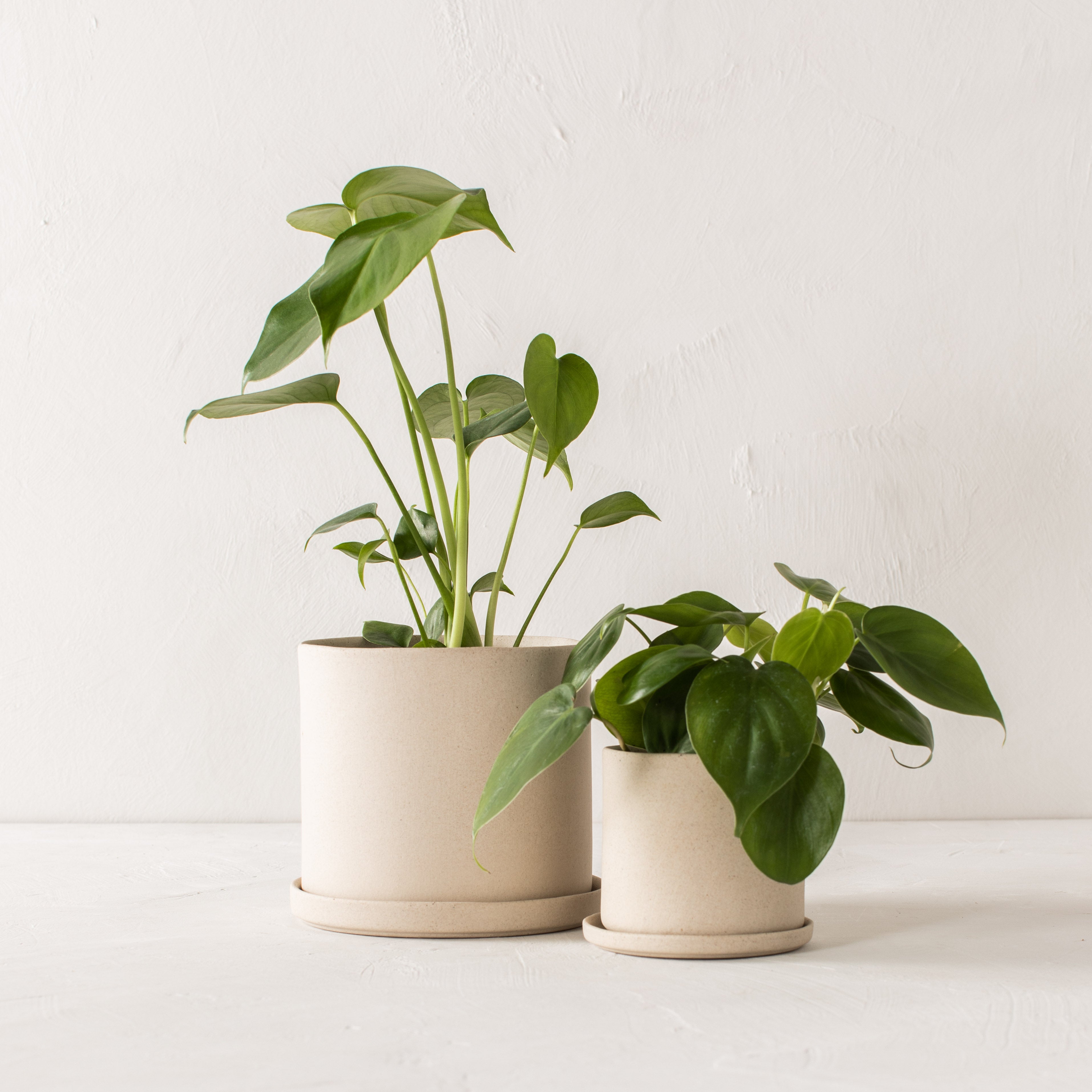 6" Minimal Planter | Raw Stoneware image 4