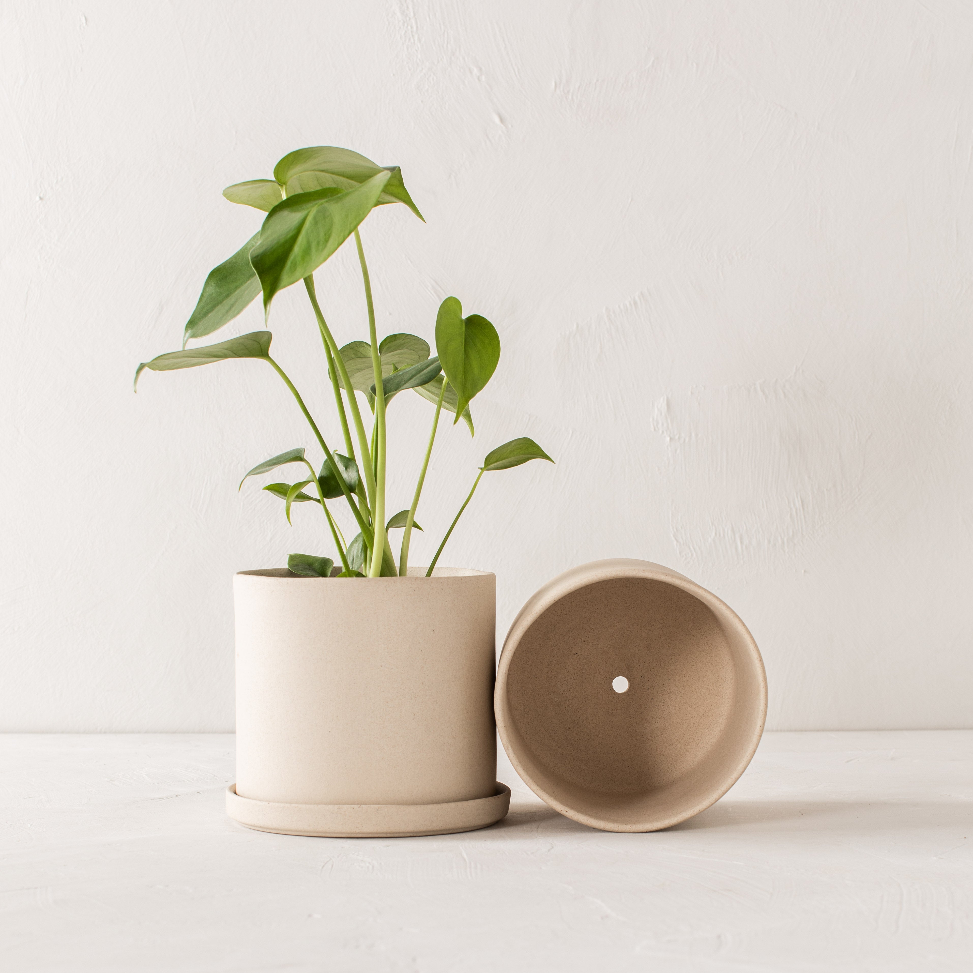 6" Minimal Planter | Raw Stoneware image 2