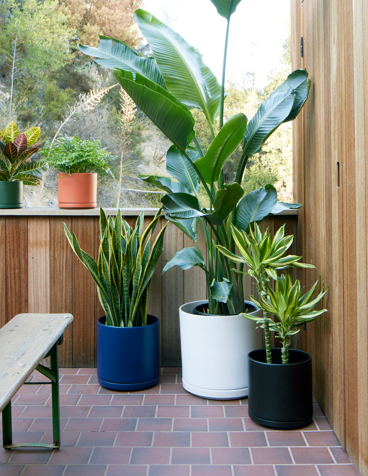 Minimalist Indoor Planter with Saucer